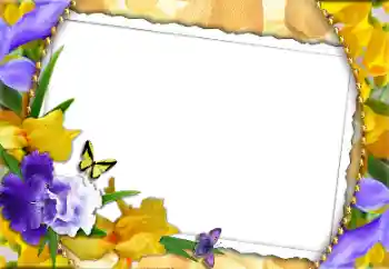 An inscription on the frame: Happy Women's Day An inscription on the frame: Happy Women's Day