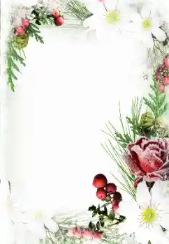 An inscription on the frame: Happy Women's Day An inscription on the frame: Happy Women's Day