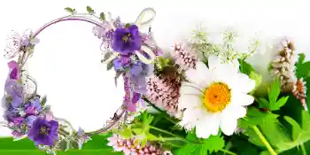 Photo effect from category Women's Day cards № 42739 Photo effect from category Women's Day cards № 42739