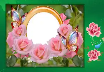 An inscription on the frame: Happy anniversary! An inscription on the frame: Happy anniversary!