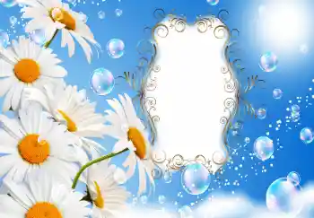 An inscription on the frame: Happy anniversary! An inscription on the frame: Happy anniversary!