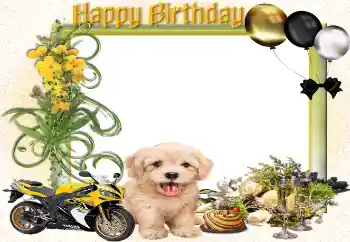 An inscription on the frame: Happy Birthday!