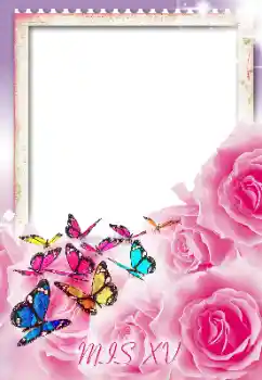 An inscription on the frame: Happy Birthday! An inscription on the frame: Happy Birthday!