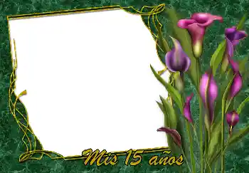 An inscription on the frame: Happy Birthday! An inscription on the frame: Happy Birthday!