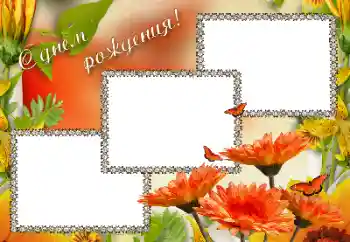 An inscription on the frame: Happy Birthday! An inscription on the frame: Happy Birthday!