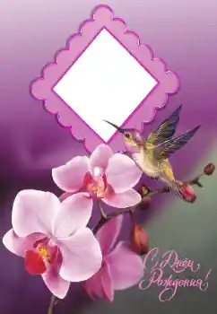 An inscription on the frame: Happy Birthday! An inscription on the frame: Happy Birthday!