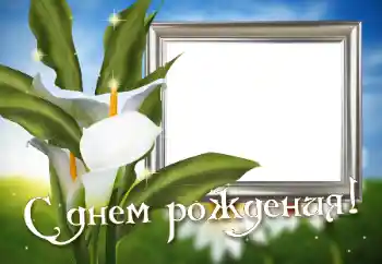 An inscription on the frame: Happy Birthday! An inscription on the frame: Happy Birthday!