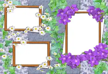 An inscription on the frame: Happy Birthday! An inscription on the frame: Happy Birthday!