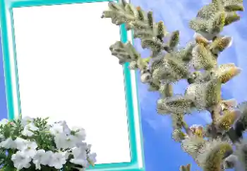 Photo effect from category Easter cards № 131205 Photo effect from category Easter cards № 131205