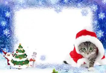 Photo effect from category New Year cards № 17139 Photo effect from category New Year cards № 17139