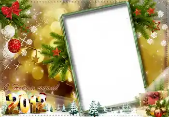 An inscription on the frame: Happy New Year!