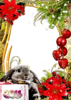 Photo effect from category New Year cards № 648