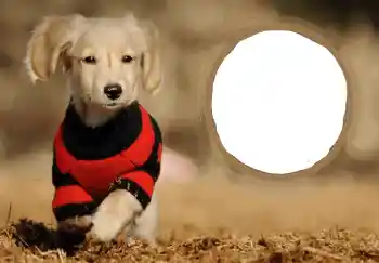 An inscription on the frame: Happy New Year! An inscription on the frame: Happy New Year!