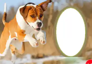 An inscription on the frame: Happy New Year! An inscription on the frame: Happy New Year!