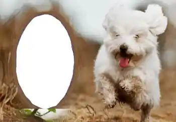 An inscription on the frame: Happy New Year! An inscription on the frame: Happy New Year!