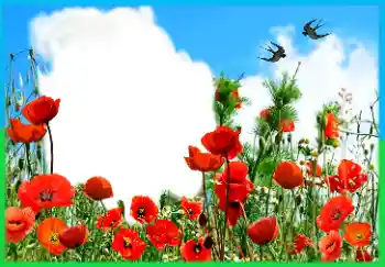 An inscription on the frame: Victory in Europe Day An inscription on the frame: Victory in Europe Day