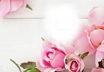 Photo effect from category Different holidays № 115983 Photo effect from category Different holidays № 115983