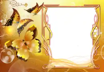 An inscription on the frame: Congratulations! An inscription on the frame: Congratulations!