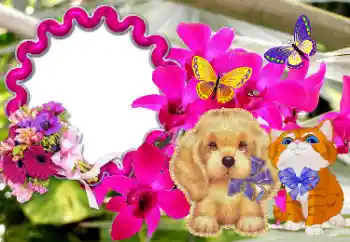 An inscription on the frame: Congratulations! An inscription on the frame: Congratulations!