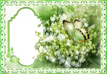 An inscription on the frame: Congratulations! An inscription on the frame: Congratulations!