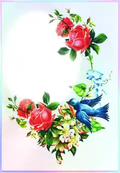 An inscription on the frame: Congratulations! An inscription on the frame: Congratulations!