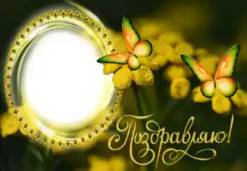 An inscription on the frame: Congratulations! An inscription on the frame: Congratulations!