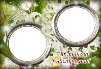 An inscription on the frame: Excellent mood! An inscription on the frame: Excellent mood!