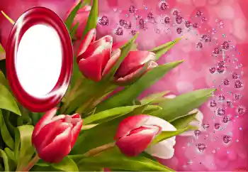 Photo effect from category Different holidays № 150549 Photo effect from category Different holidays № 150549