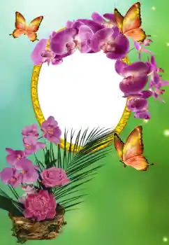 Photo effect from category Different holidays № 150615 Photo effect from category Different holidays № 150615