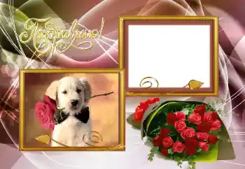 An inscription on the frame: Congratulations! An inscription on the frame: Congratulations!