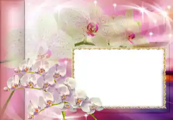 Photo effect from category Different holidays № 153160 Photo effect from category Different holidays № 153160