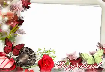 An inscription on the frame: Congratulations! An inscription on the frame: Congratulations!