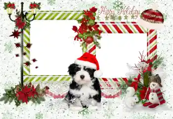 An inscription on the frame: Happy Holidays An inscription on the frame: Happy Holidays