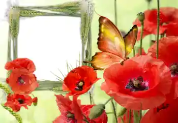 An inscription on the frame: Victory in Europe Day An inscription on the frame: Victory in Europe Day