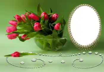 Photo effect from category Different holidays № 169026 Photo effect from category Different holidays № 169026