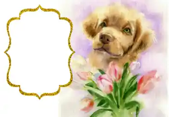 Photo effect from category Different holidays № 190529 Photo effect from category Different holidays № 190529