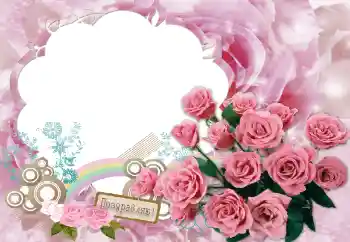 An inscription on the frame: Congratulations! An inscription on the frame: Congratulations!