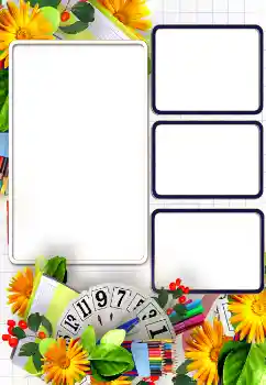 Photo effect from category Different for school № 154388