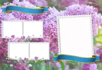 Photo effect from category Different for school № 205350 Photo effect from category Different for school № 205350