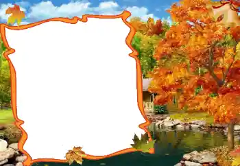 Photo effect from category Different for school № 47219