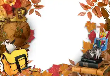 Photo effect from category Different for school № 4734