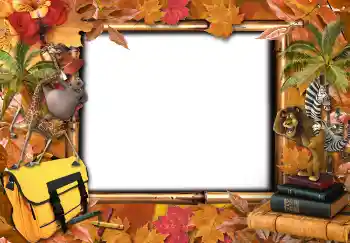 Photo effect from category Different for school № 4735