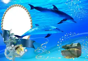 Photo effect from category Summer № 101226 Photo effect from category Summer № 101226