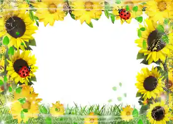 Photo effect from category Summer № 1113