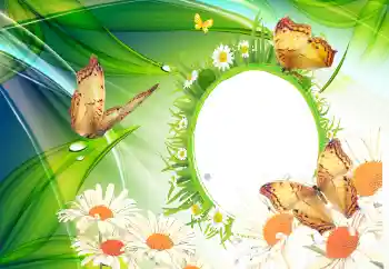 Photo effect from category Summer № 112110