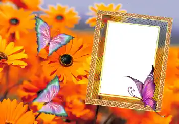 Photo effect from category Summer № 112111