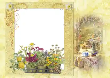 Photo effect from category Summer № 1121