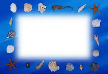 Photo effect from category Summer № 113121