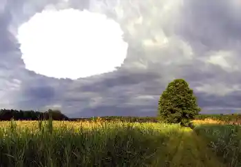 Photo effect from category Summer № 114385