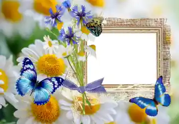 Photo effect from category Summer № 114393